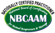 NBCAAM Logo